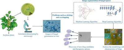 A deep semantic network-based image segmentation of soybean rust pathogens